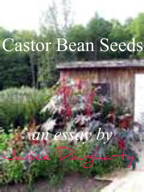 Cover of the book Castor Bean Seeds by Janice Daugharty, Janice Daugharty
