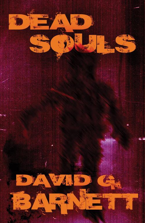Cover of the book Dead Souls by David G. Barnett, Necro Publications