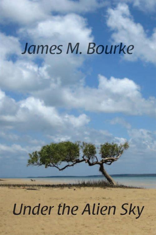 Cover of the book Under the Alien Sky by James M. Bourke, Xlibris UK