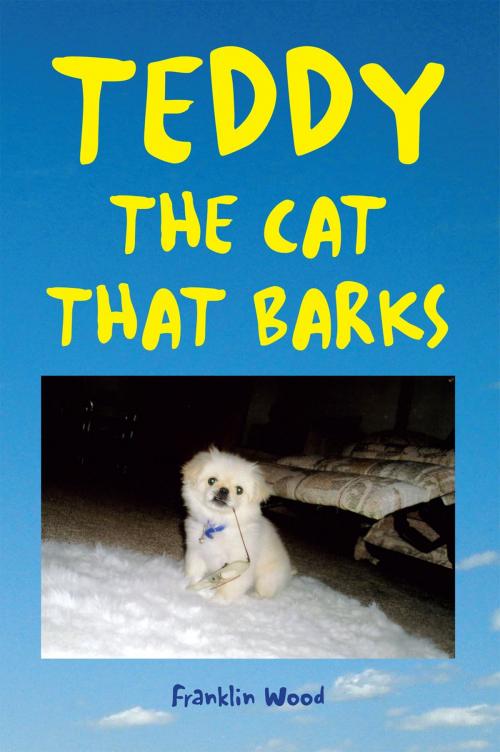 Cover of the book Teddy the Cat That Barks by Franklin Wood, Xlibris US