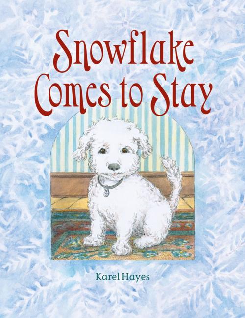 Cover of the book Snowflake Comes to Stay by Karel Hayes, Down East Books