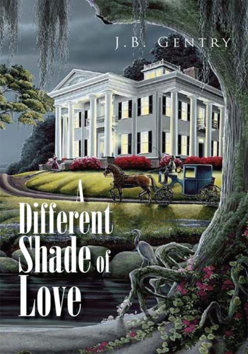 Cover of the book A Different Shade of Love by J.B. Gentry, Xlibris US