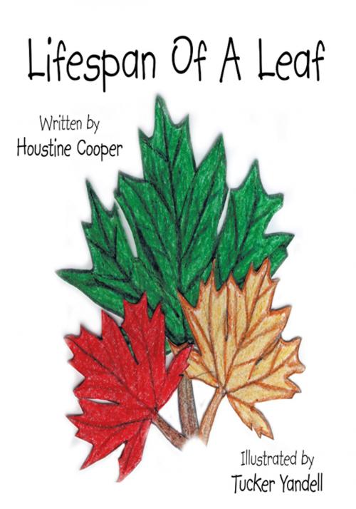 Cover of the book Lifespan of a Leaf by Houstine Cooper, Trafford Publishing