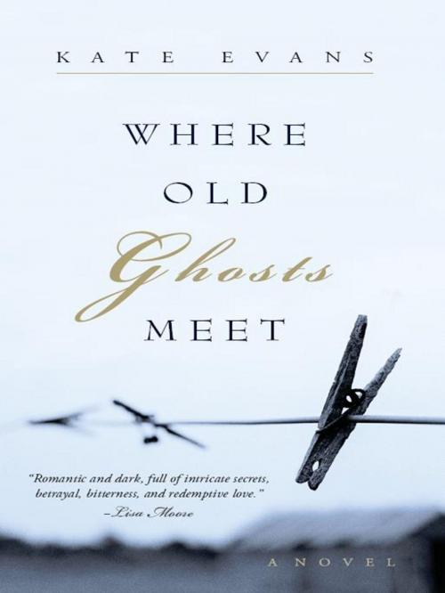 Cover of the book Where Old Ghosts Meet by Kate Evans, Breakwater Books