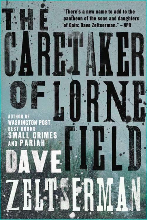 Cover of the book The Caretaker of Lorne Field by Dave Zeltserman, ABRAMS