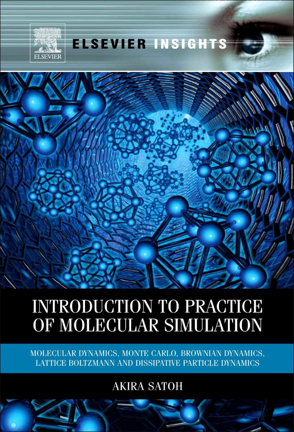 Big bigCover of Introduction to Practice of Molecular Simulation