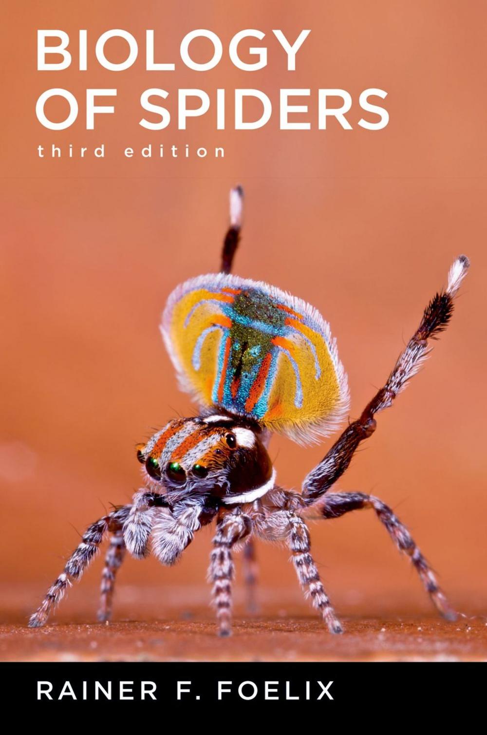Big bigCover of Biology of Spiders