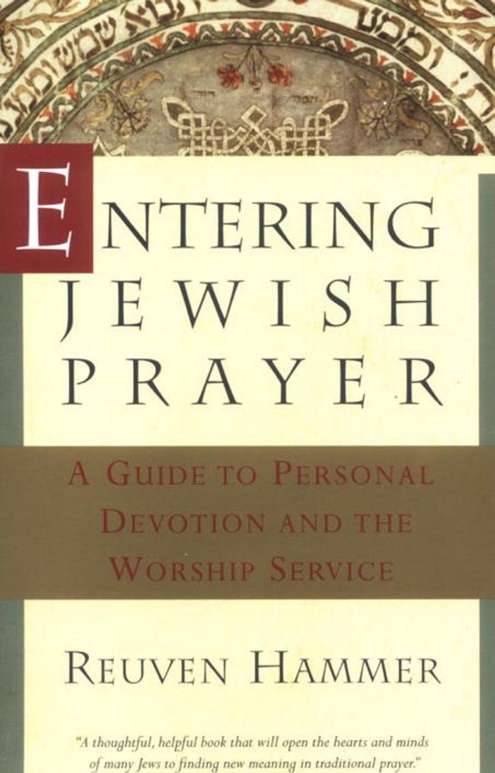 Big bigCover of Entering Jewish Prayer