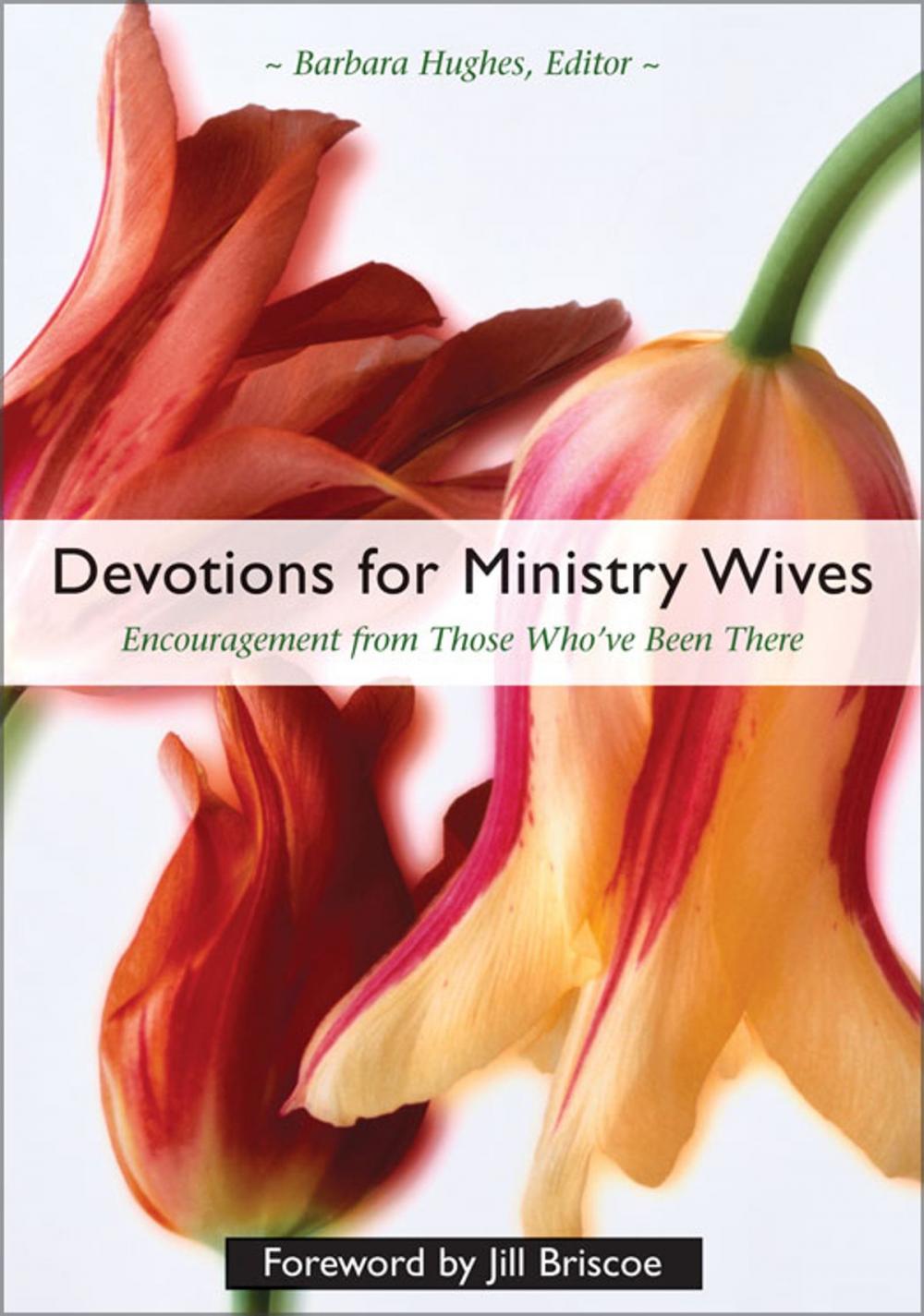 Big bigCover of Devotions for Ministry Wives