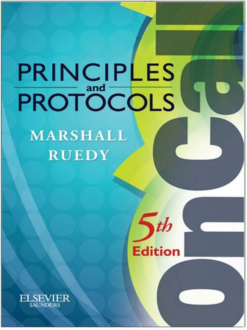 Big bigCover of On Call Principles and Protocols