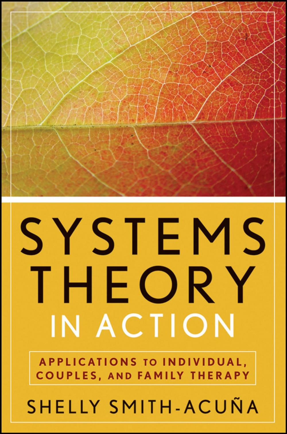 Big bigCover of Systems Theory in Action