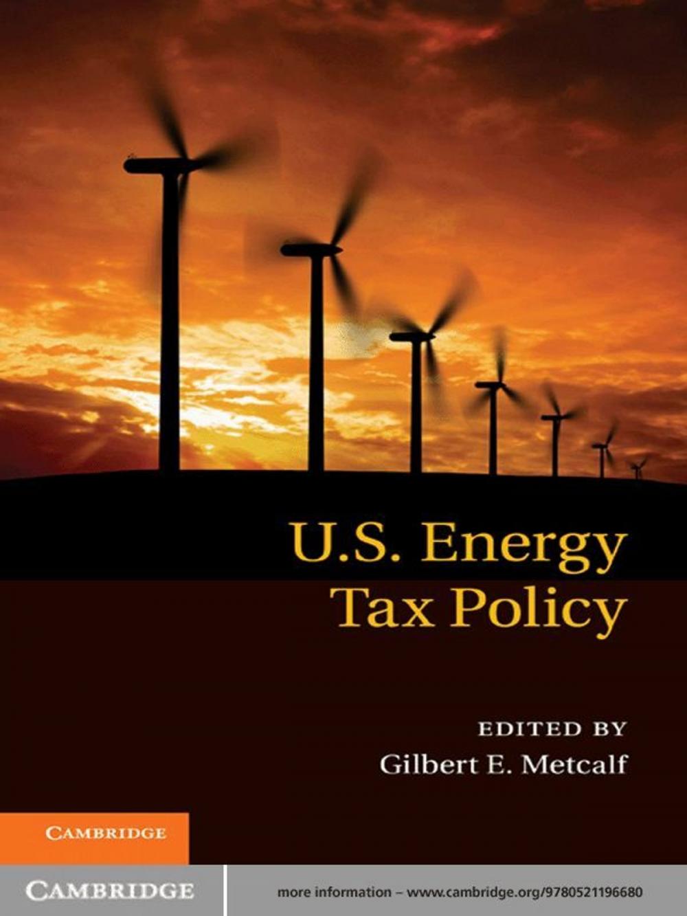 Big bigCover of US Energy Tax Policy