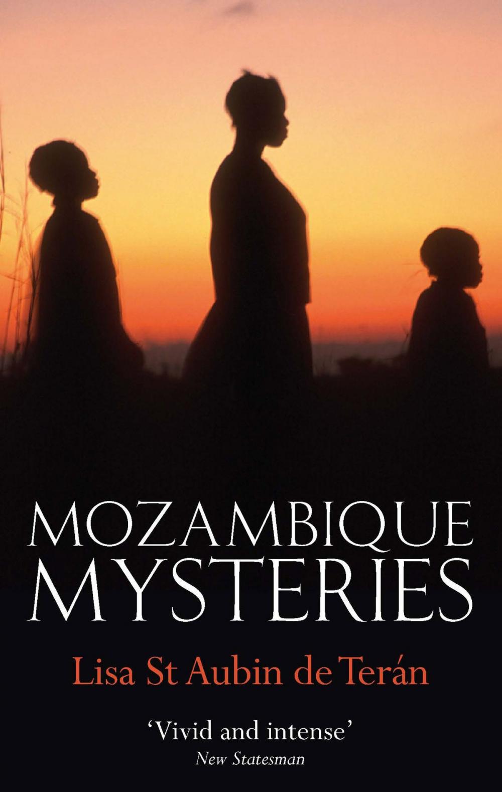 Big bigCover of Mozambique Mysteries