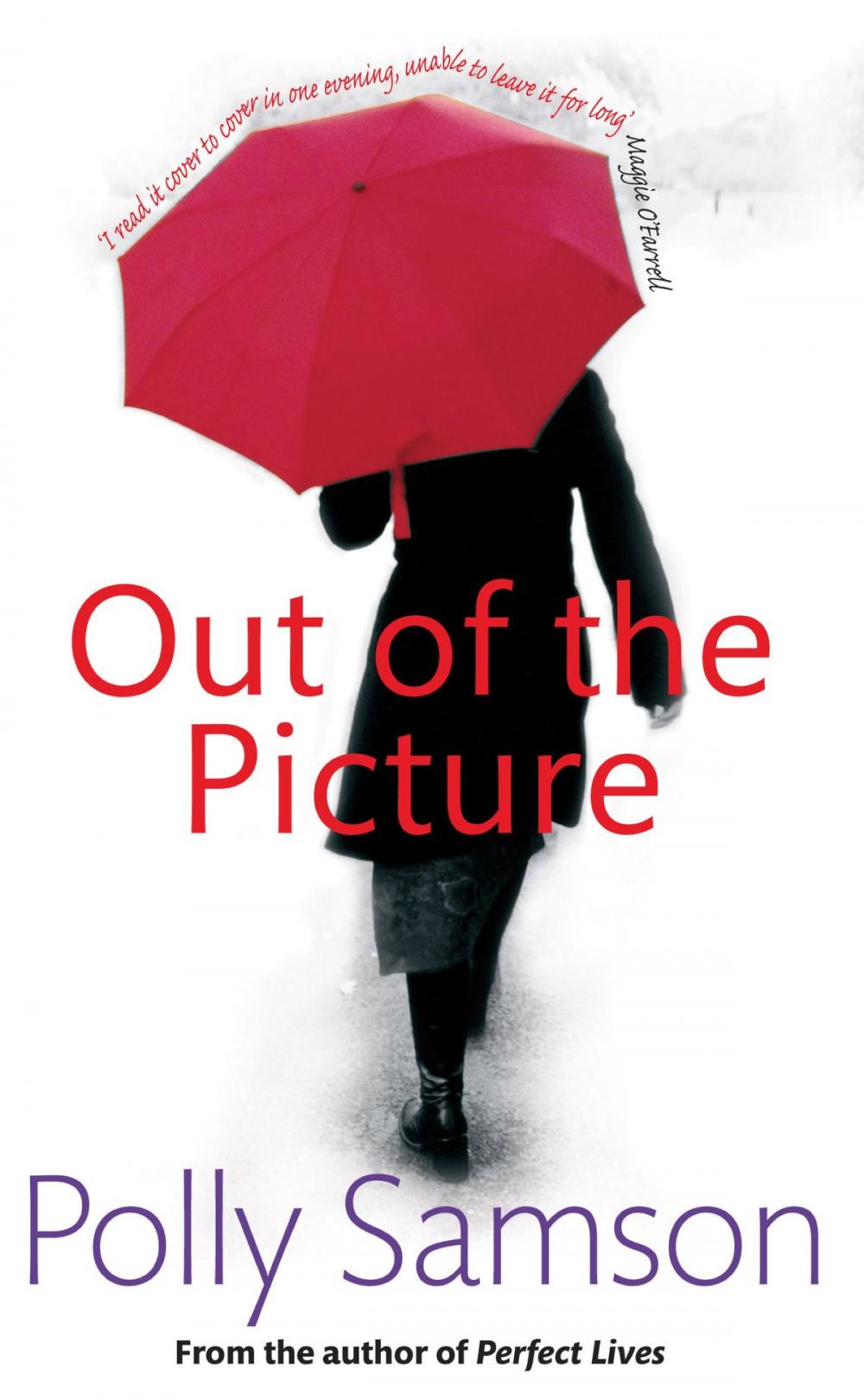 Big bigCover of Out of the Picture