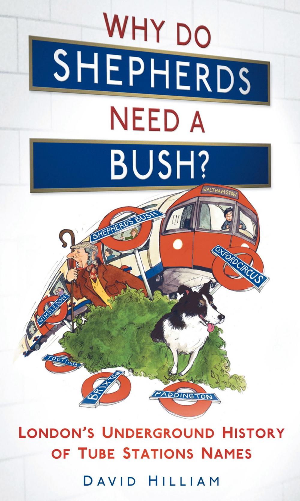 Big bigCover of Why Do Shepherds Need a Bush?