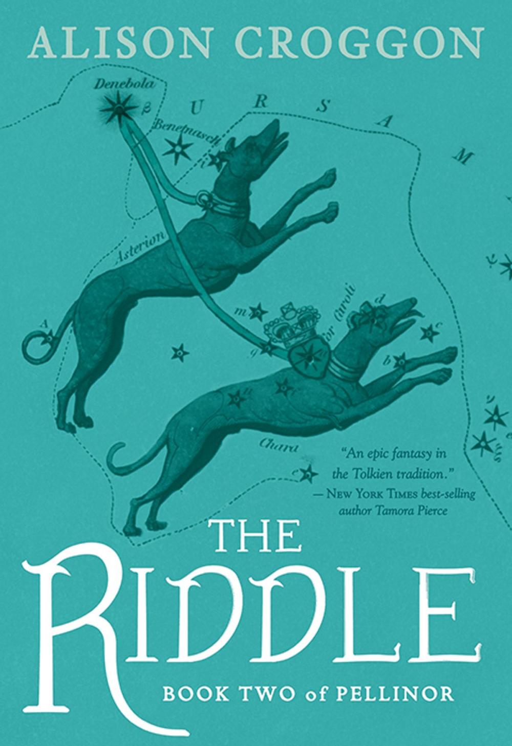 Big bigCover of The Riddle