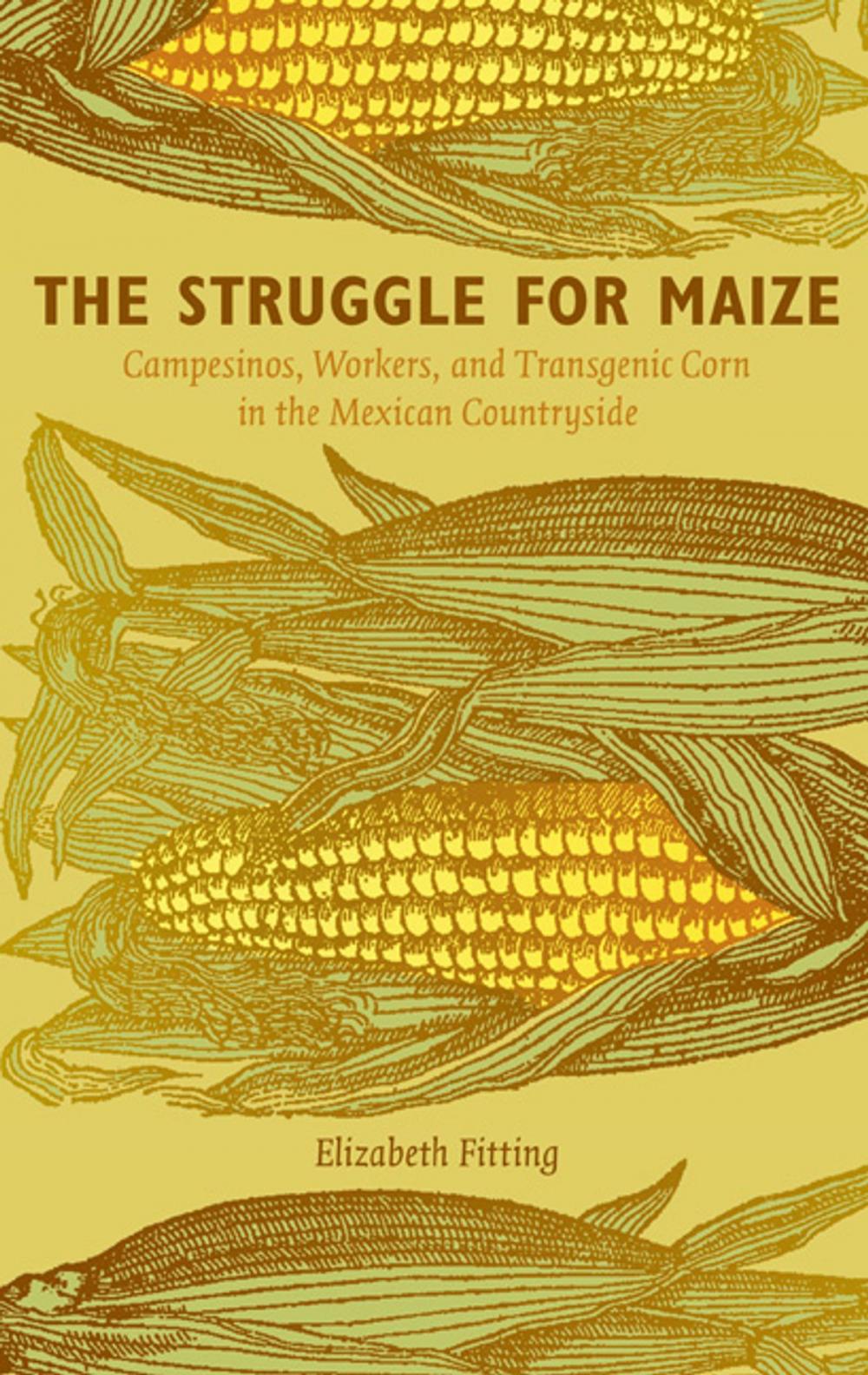 Big bigCover of The Struggle for Maize