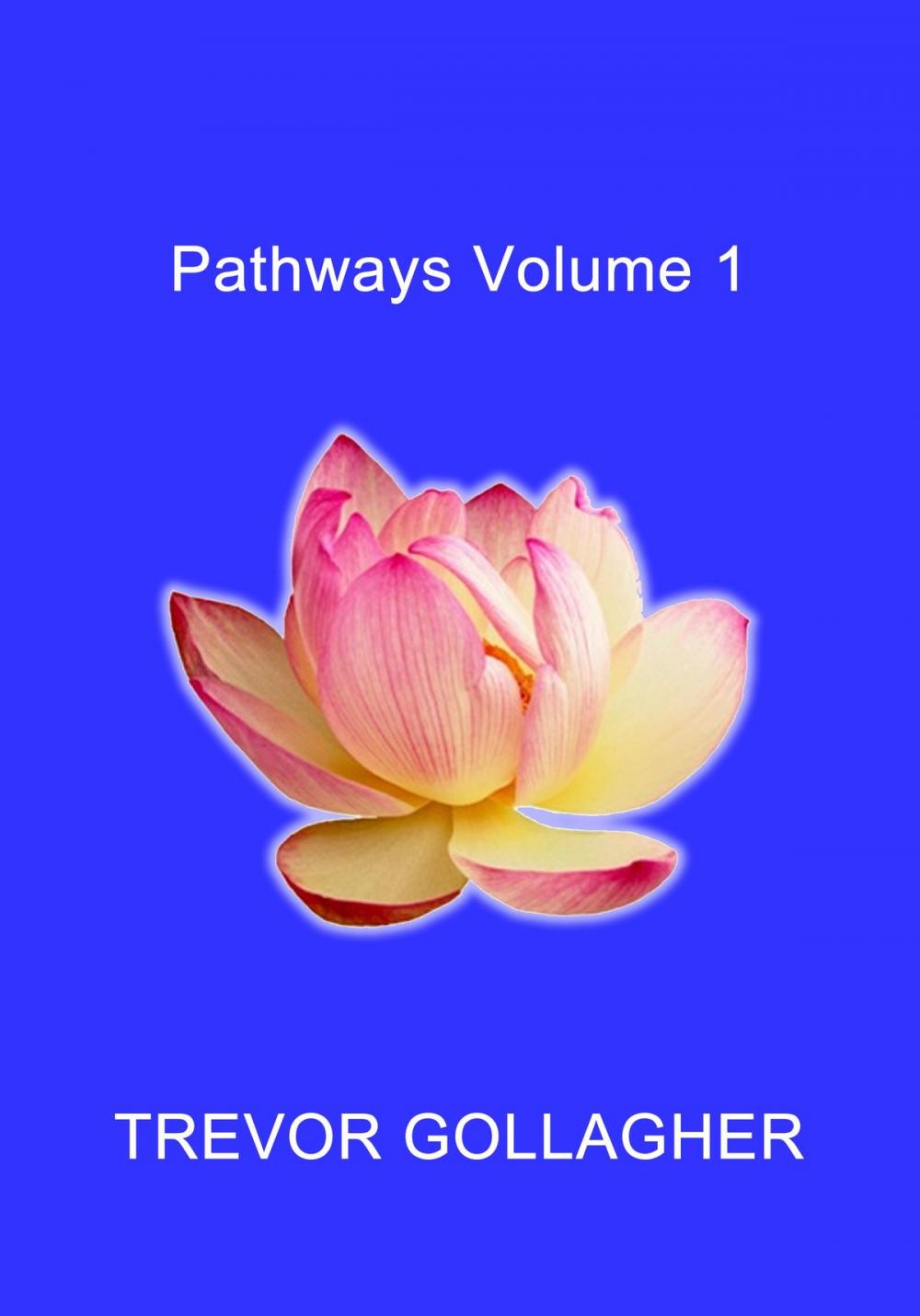 Big bigCover of Pathways Volume 1