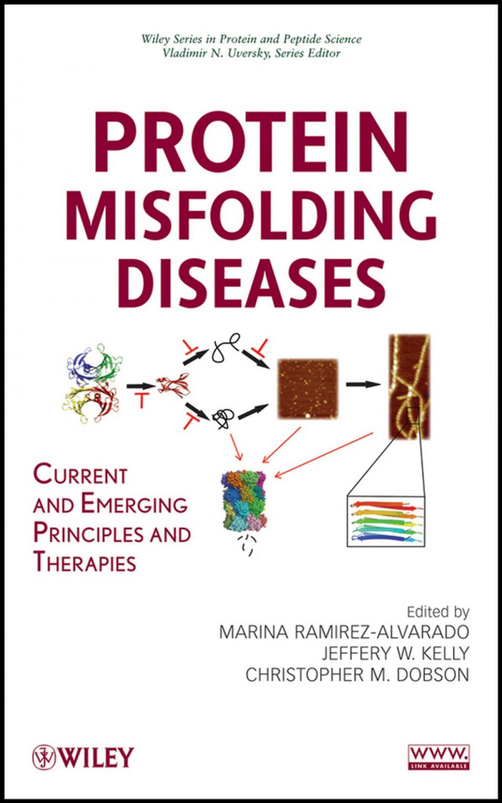 Big bigCover of Protein Misfolding Diseases