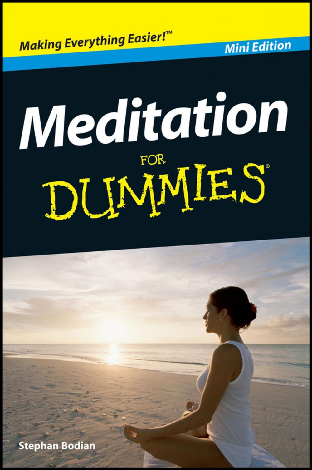 Big bigCover of Meditation For Dummies, Mini Edition