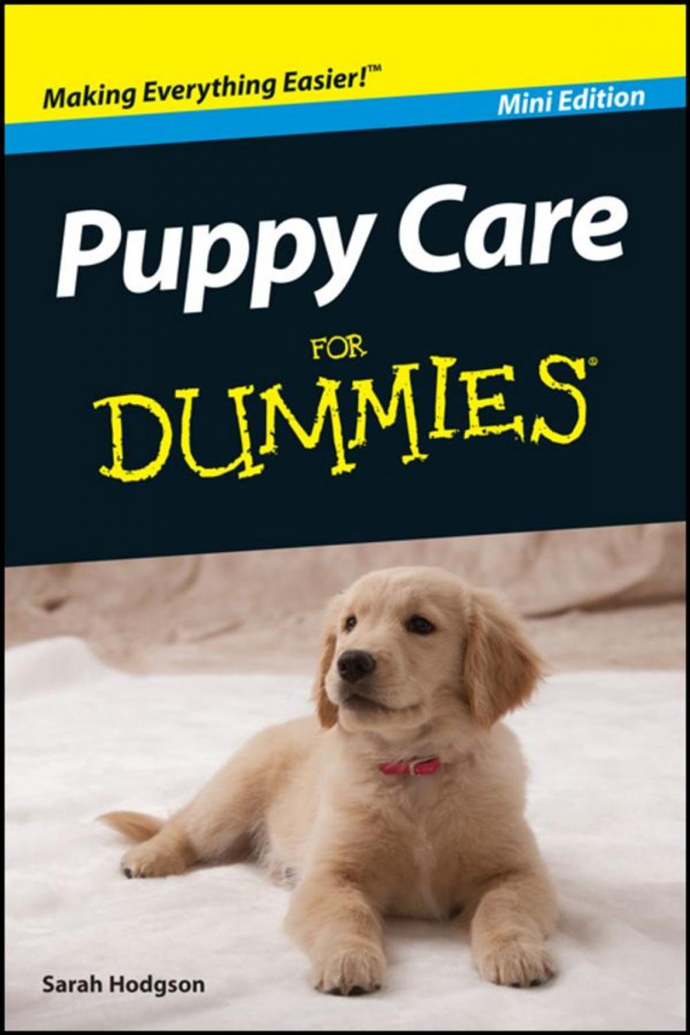 Big bigCover of Puppy Care For Dummies?, Mini Edition