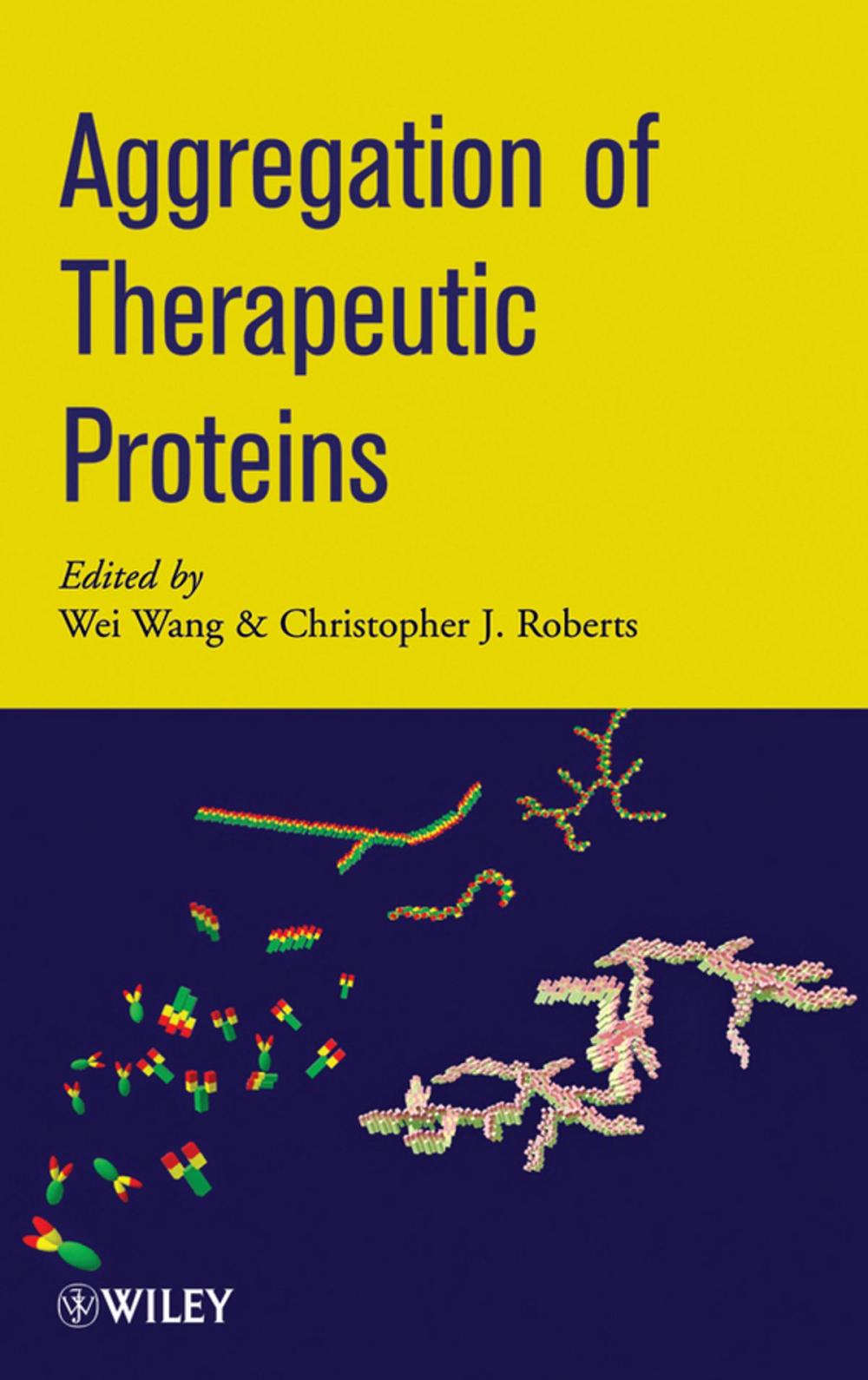 Big bigCover of Aggregation of Therapeutic Proteins