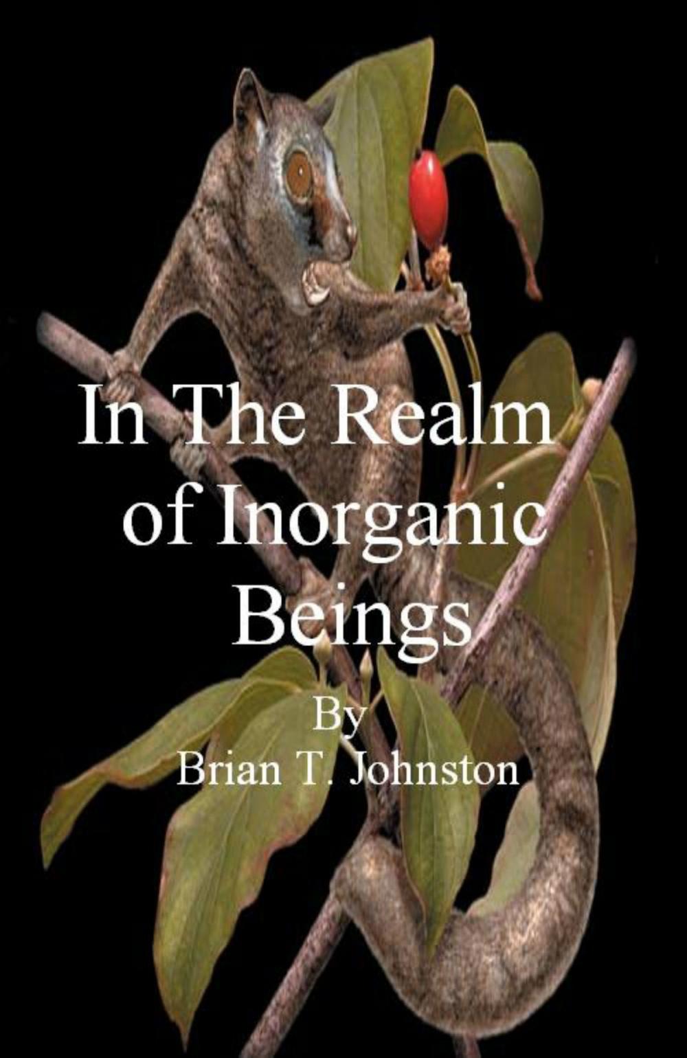 Big bigCover of In The Realm of Inorganic Beings