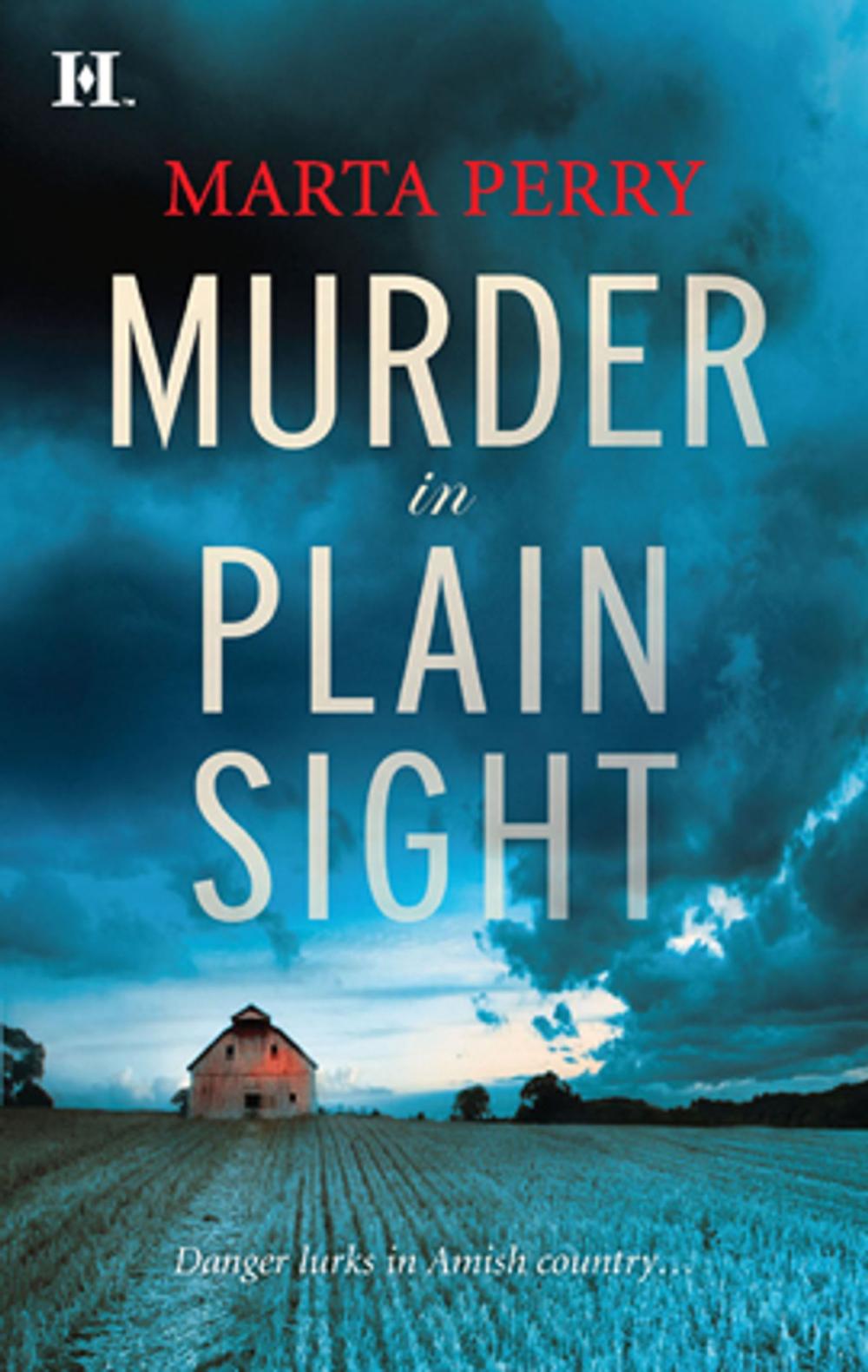 Big bigCover of Murder in Plain Sight