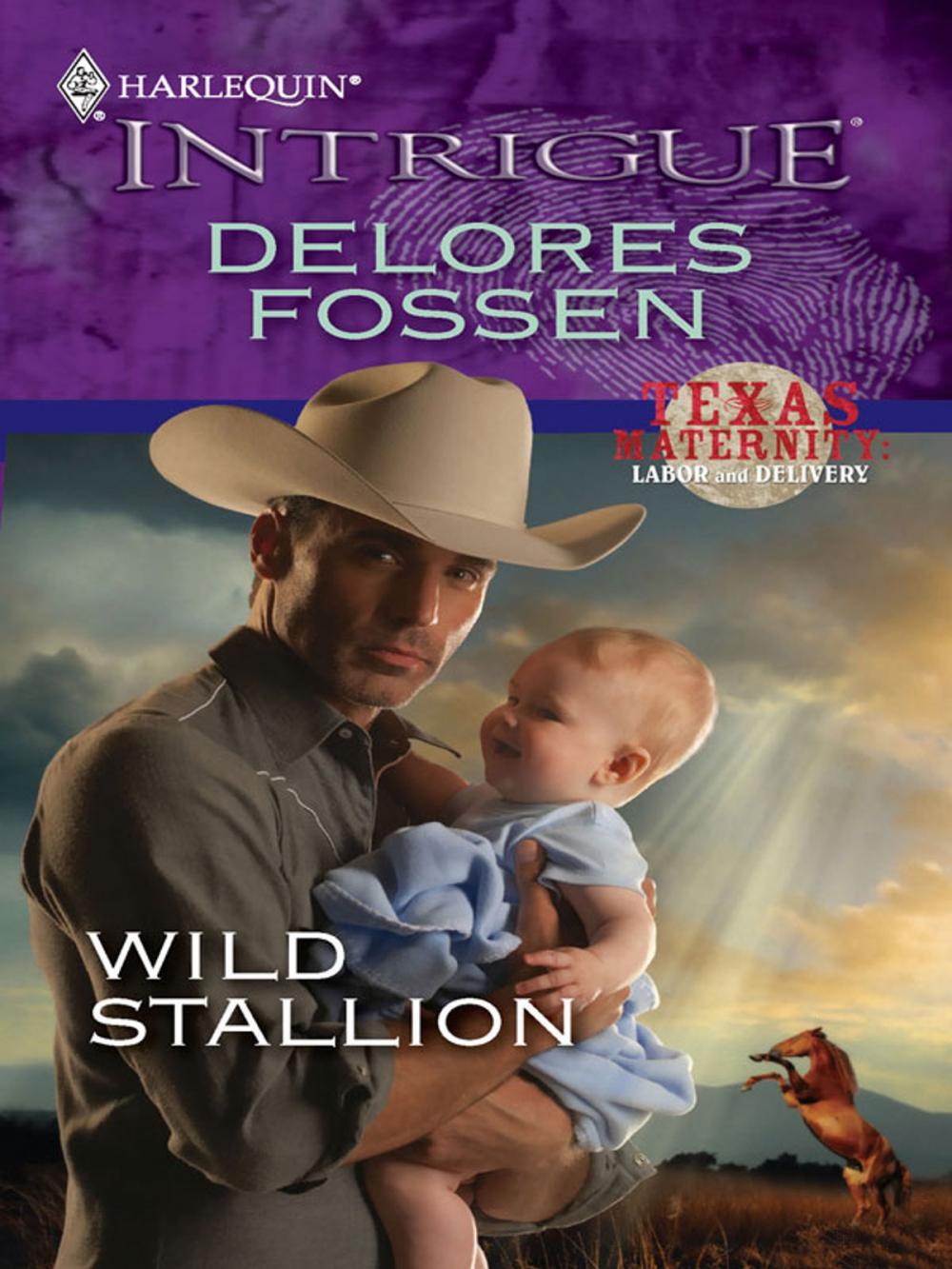 Big bigCover of Wild Stallion