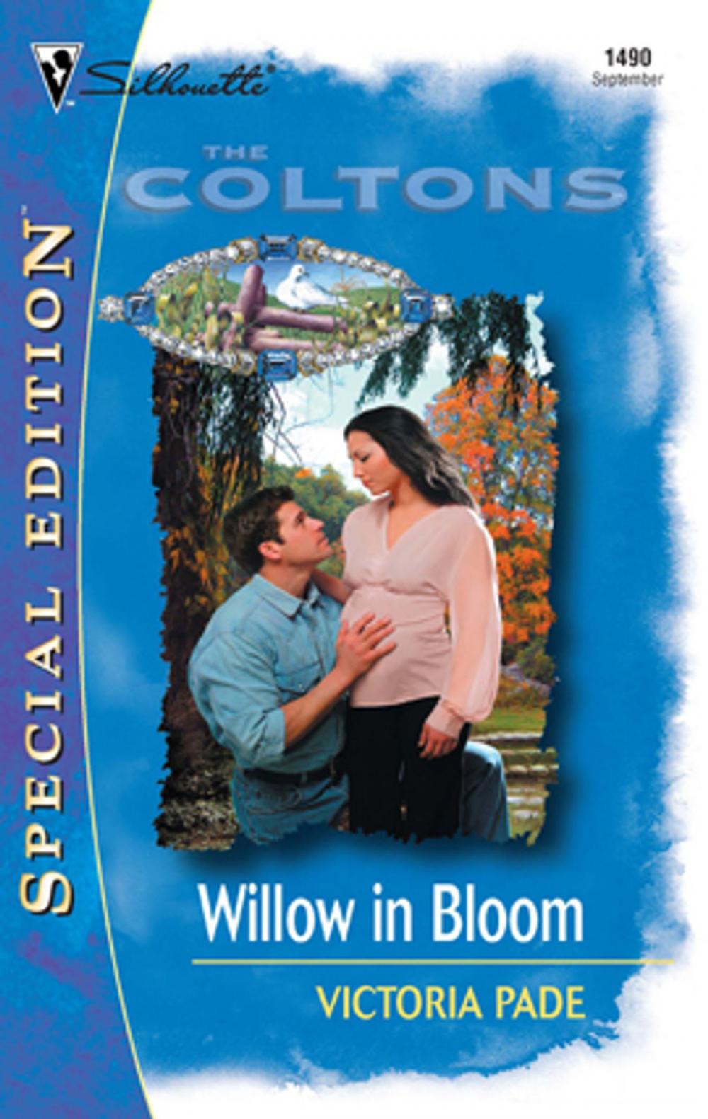 Big bigCover of Willow In Bloom