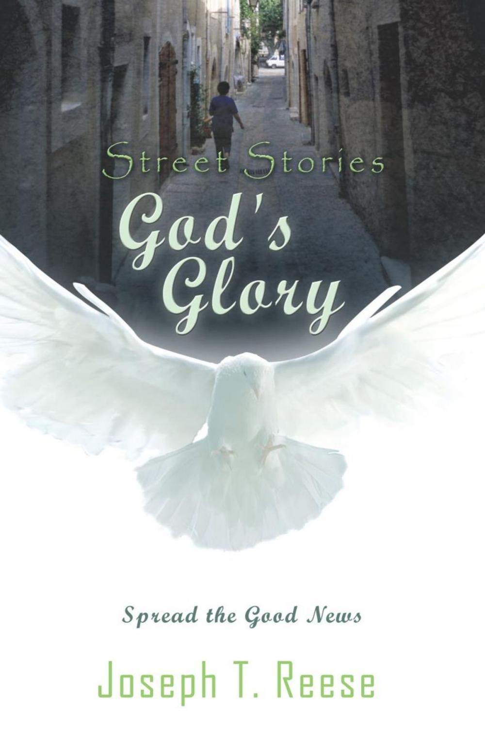 Big bigCover of Street Stories God's Glory