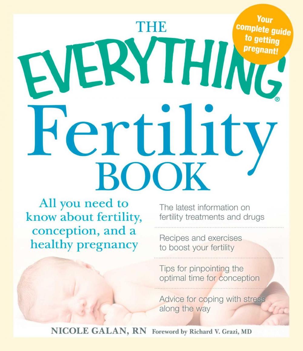 Big bigCover of The Everything Fertility Book