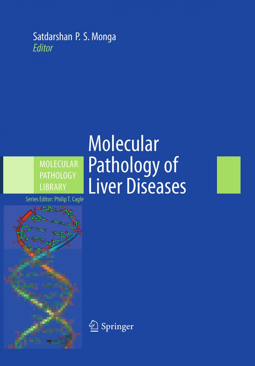 Big bigCover of Molecular Pathology of Liver Diseases