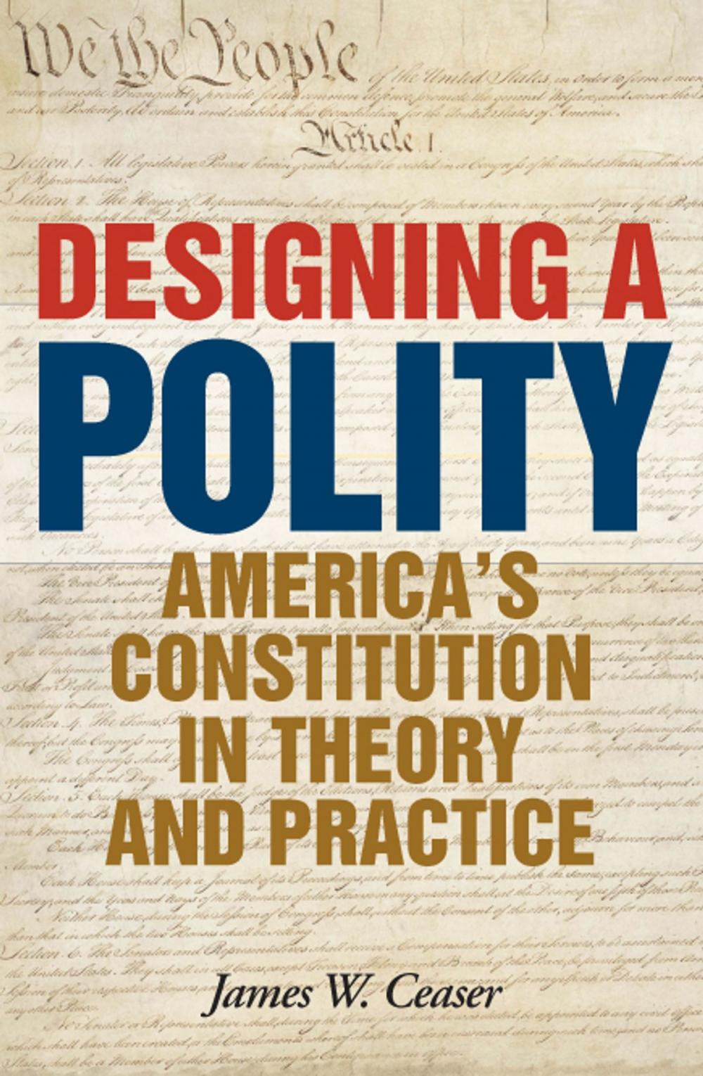 Big bigCover of Designing a Polity