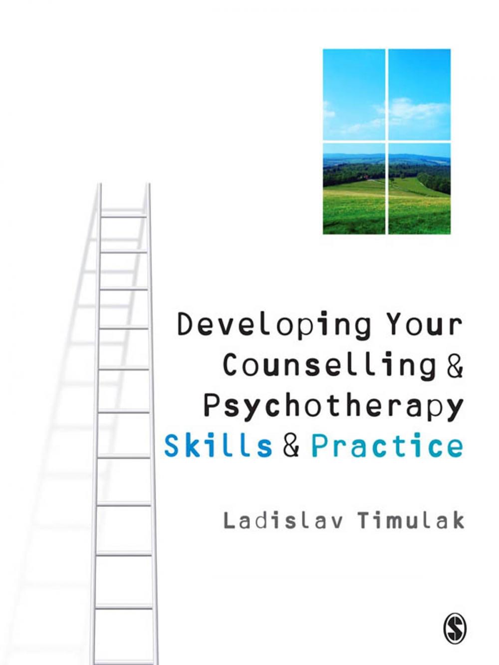 Big bigCover of Developing Your Counselling and Psychotherapy Skills and Practice