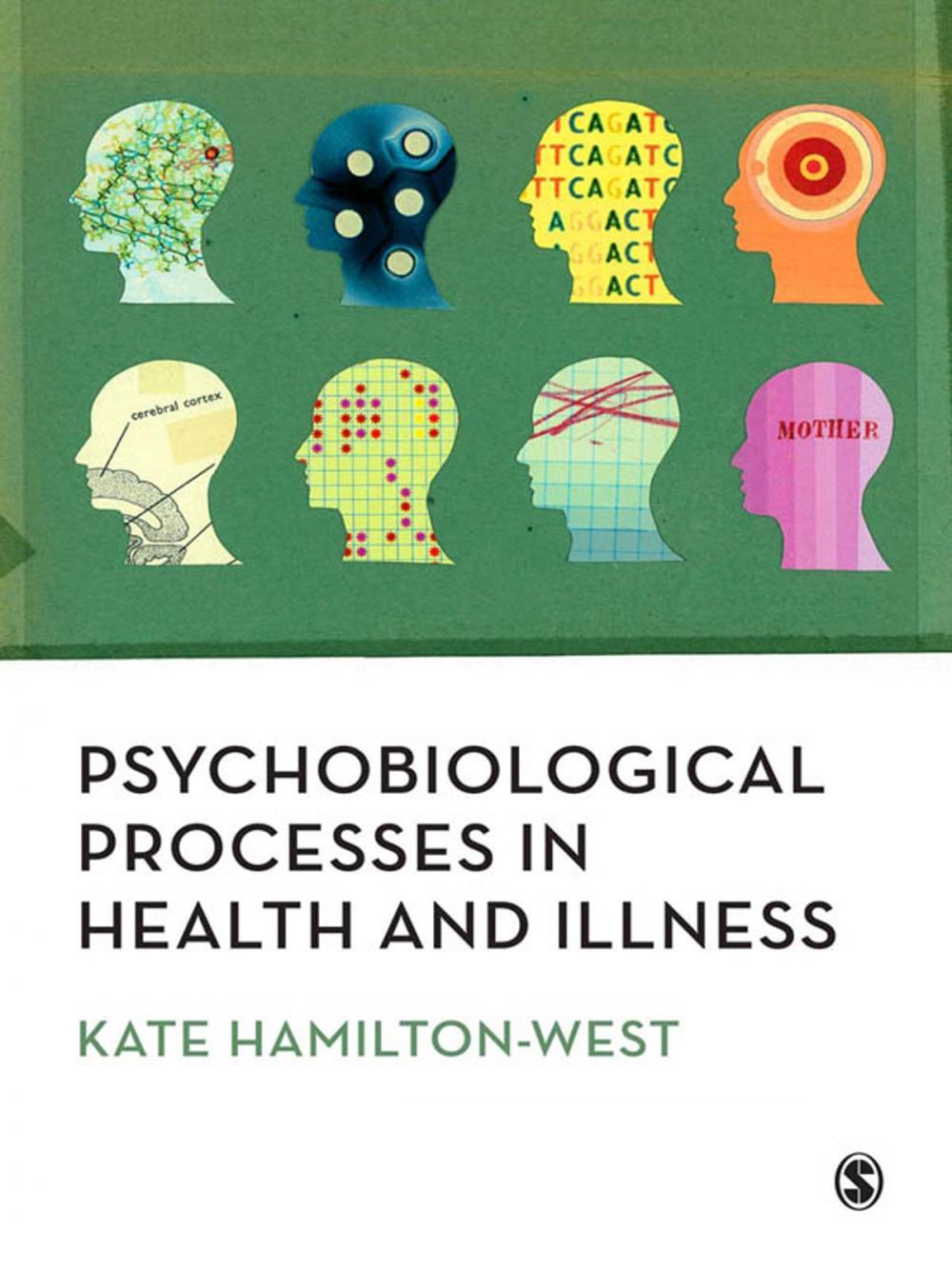 Big bigCover of Psychobiological Processes in Health and Illness