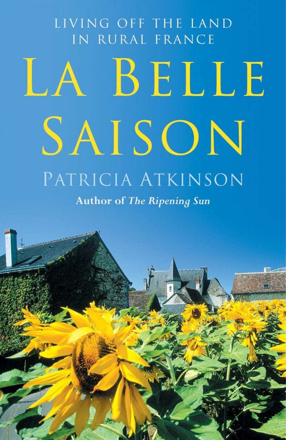 Big bigCover of La Belle Saison