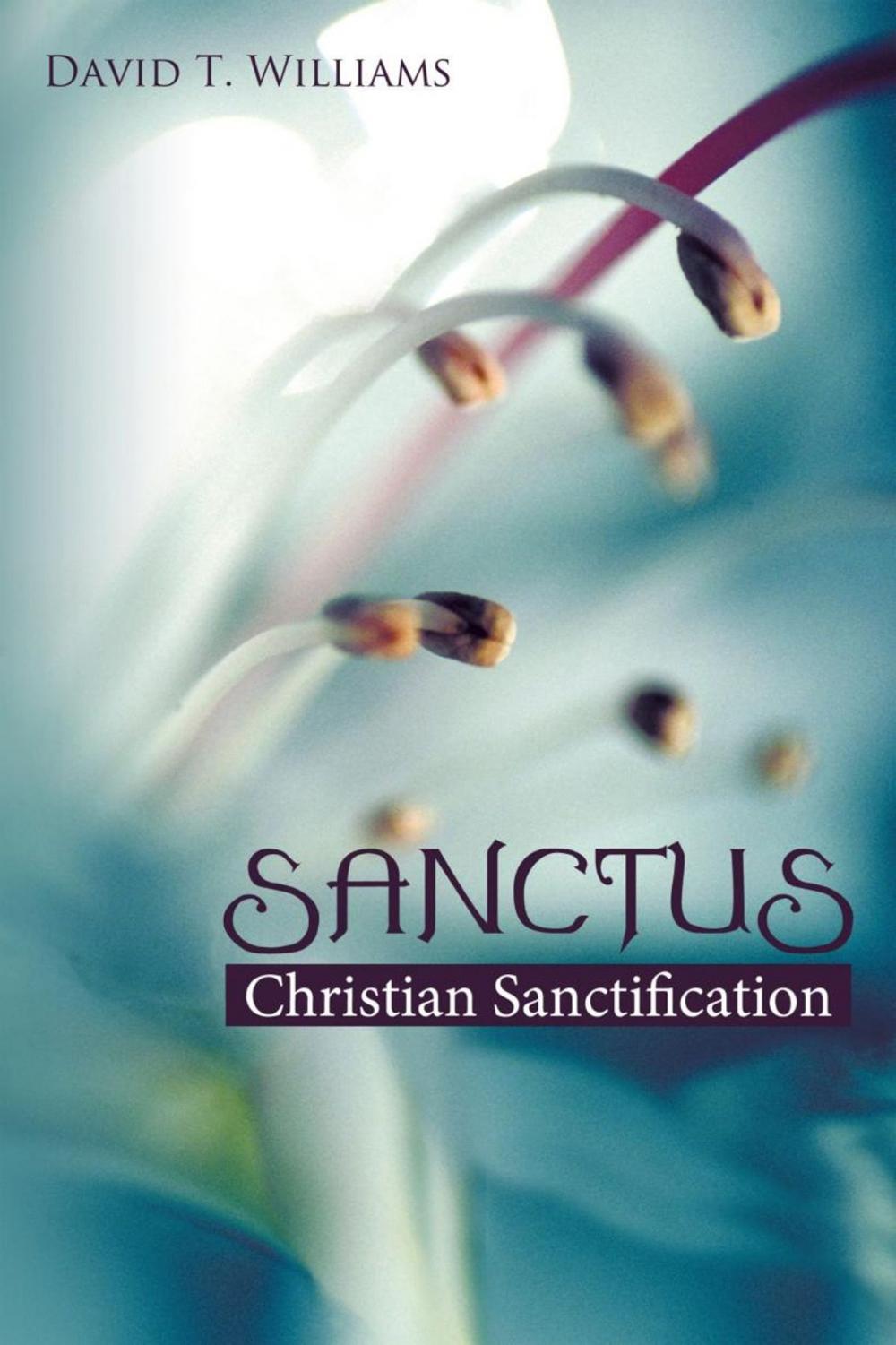 Big bigCover of Sanctus