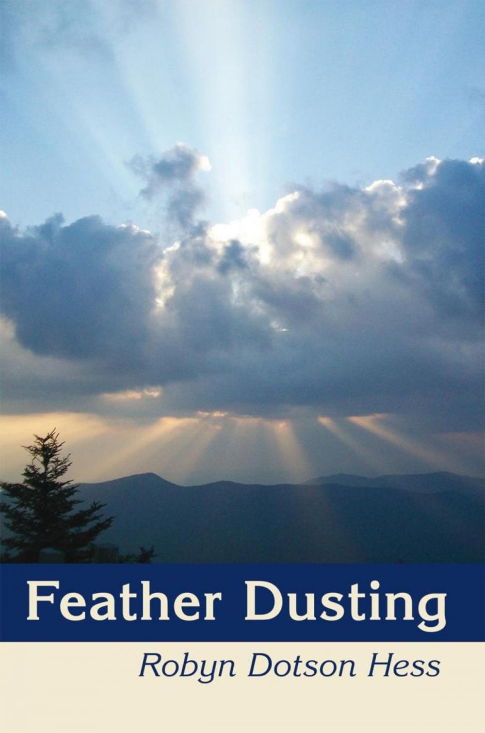 Big bigCover of Feather Dusting