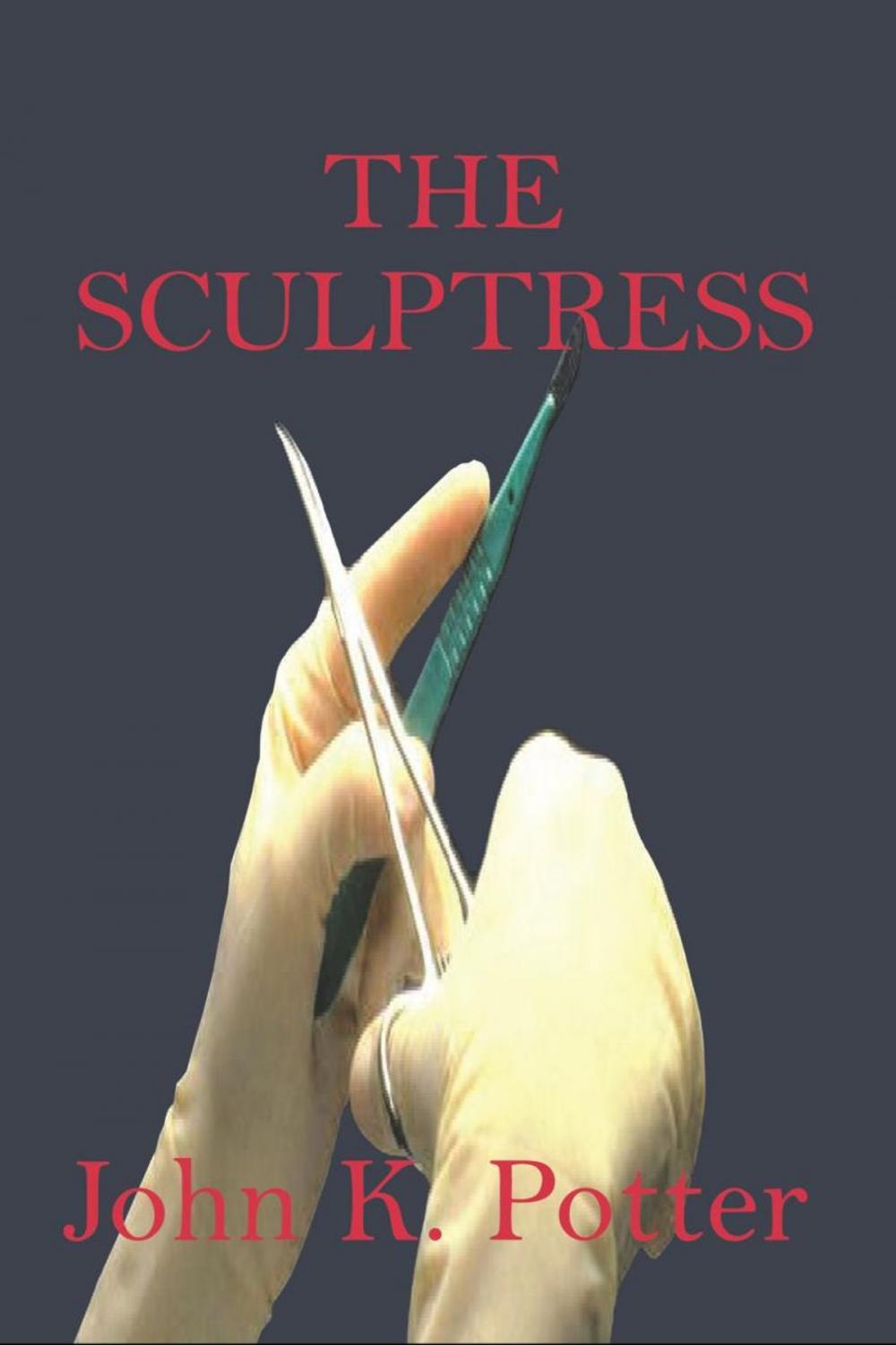 Big bigCover of The Sculptress