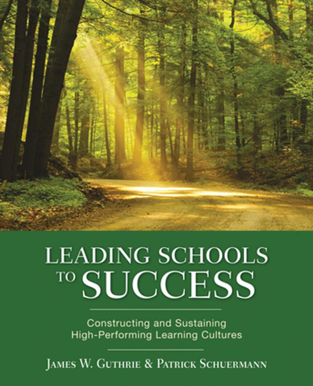 Big bigCover of Leading Schools to Success