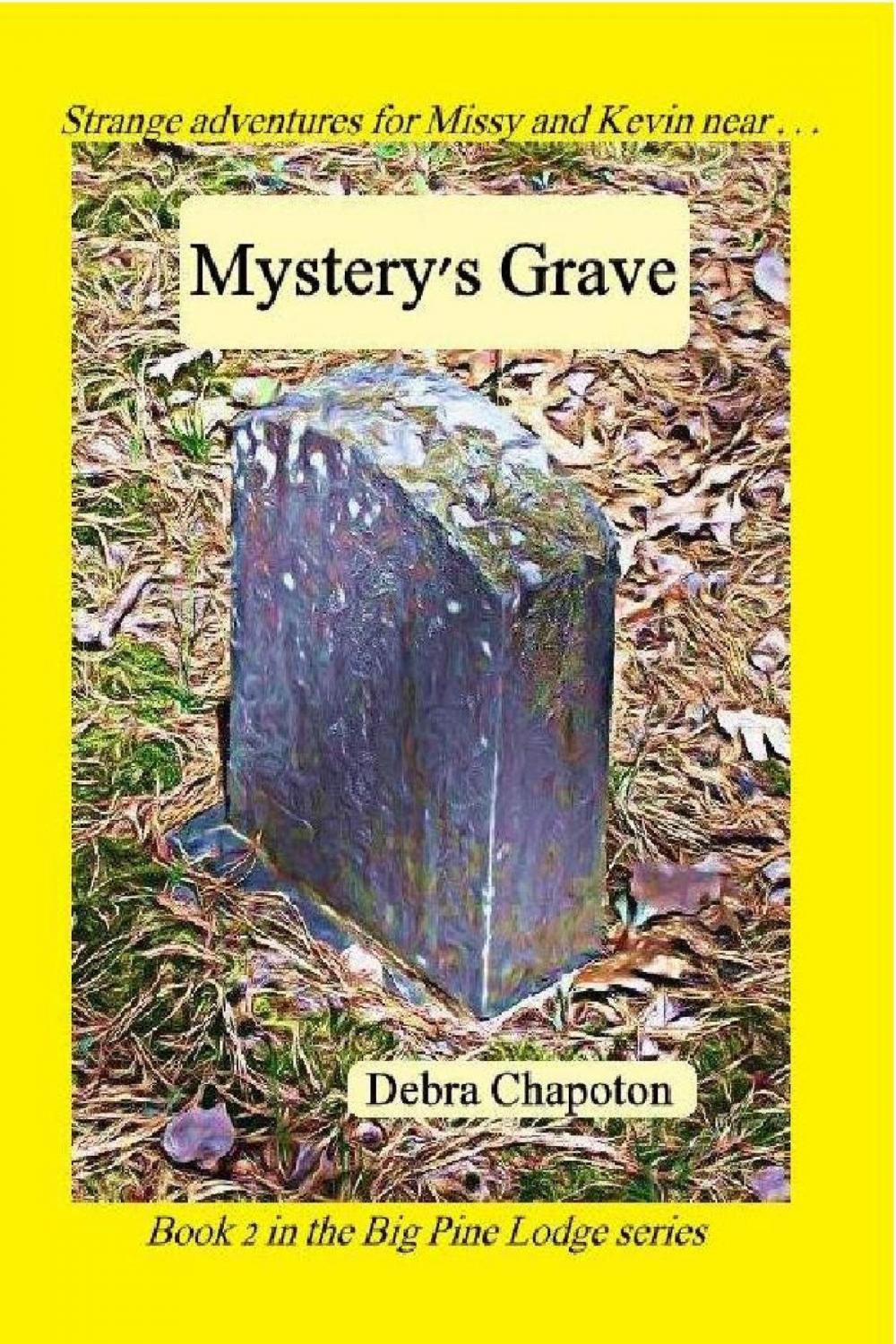 Big bigCover of Mystery's Grave