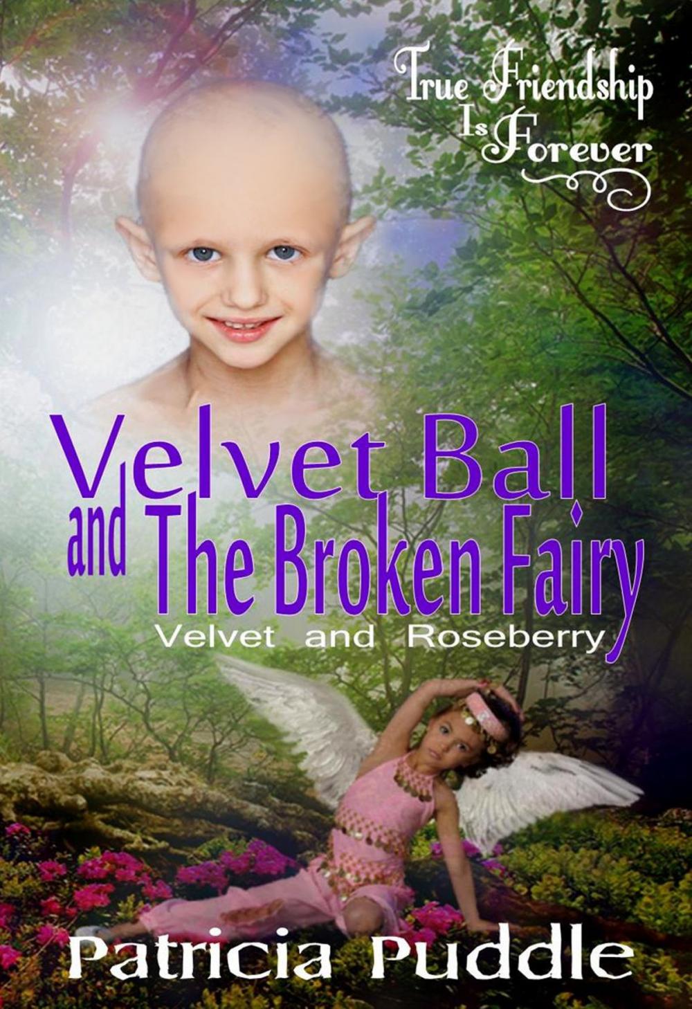 Big bigCover of Velvet Ball and The Broken fairy