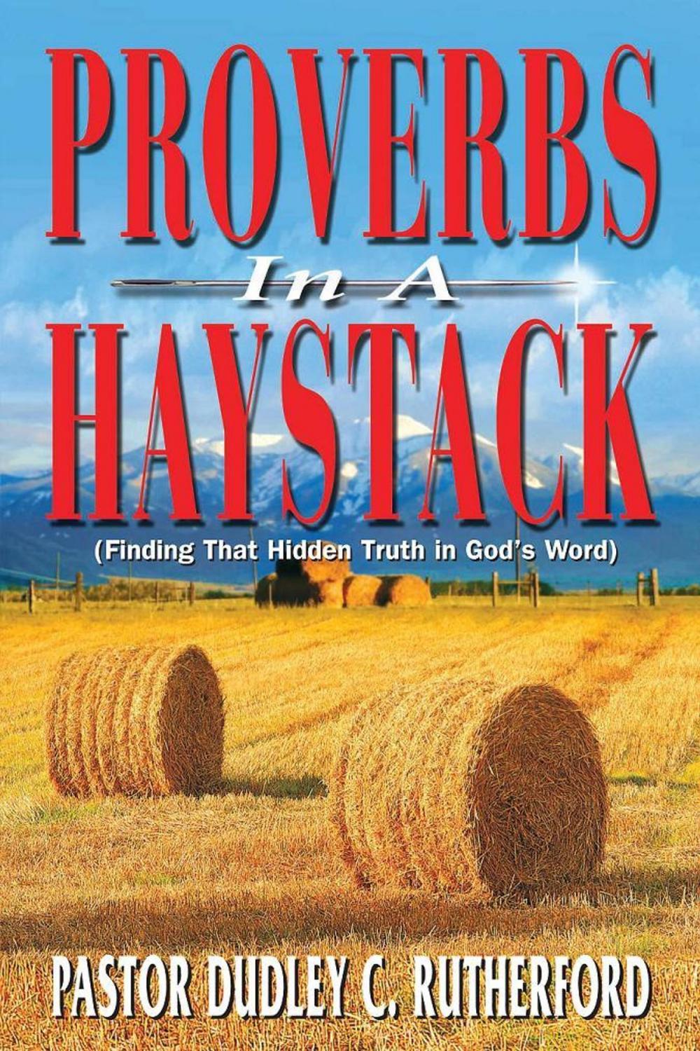 Big bigCover of Proverbs in a Haystack