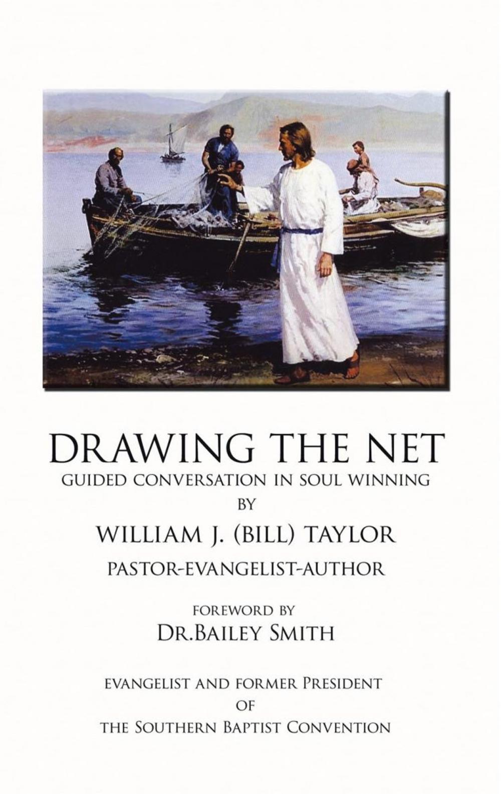 Big bigCover of Drawing the Net