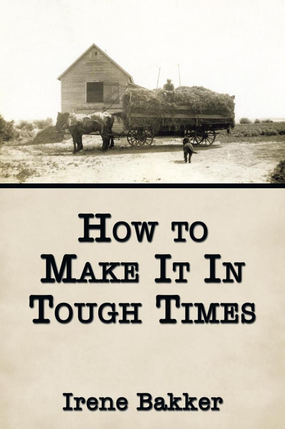 Big bigCover of How to Make It in Tough Times