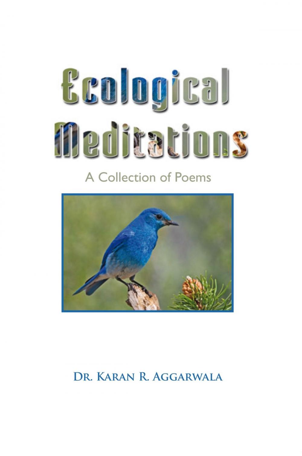 Big bigCover of Ecological Meditations