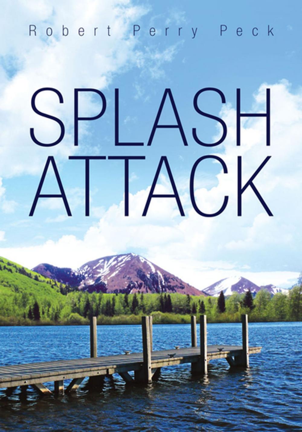 Big bigCover of Splash Attack