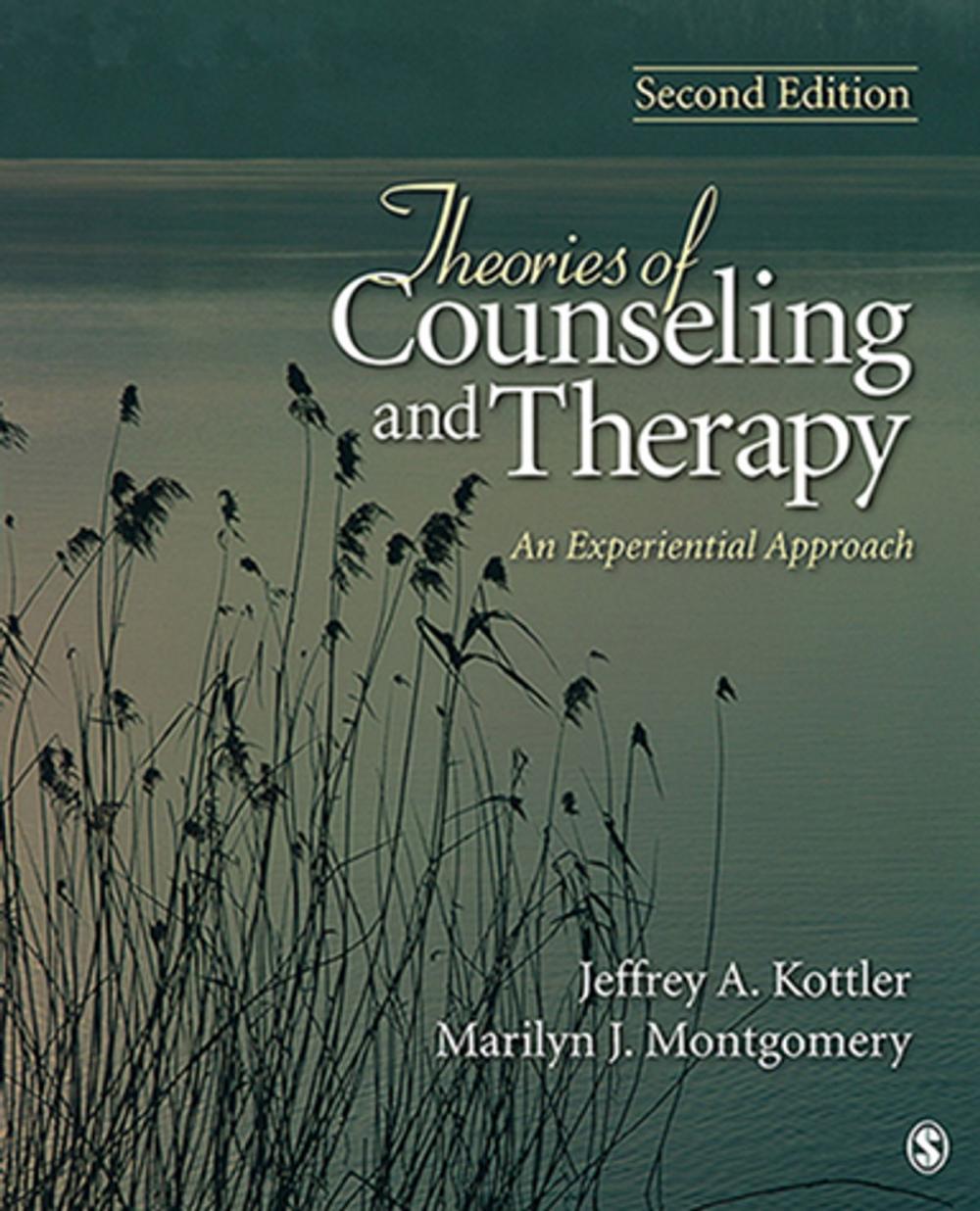 Big bigCover of Theories of Counseling and Therapy