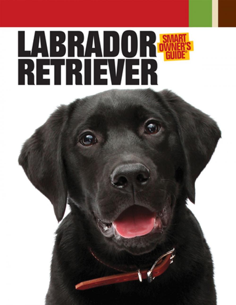 Big bigCover of Labrador Retriever